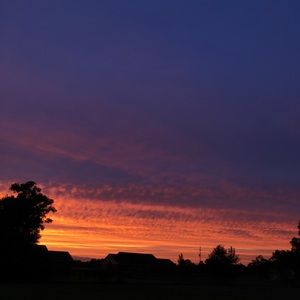 Meet your Posher, Desiny